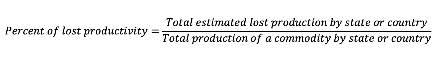 Figure 10: Equation of Productivity